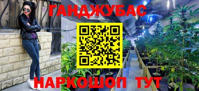 сатива Лесосибирск