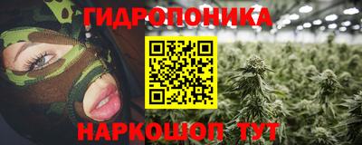 сатива Лесосибирск